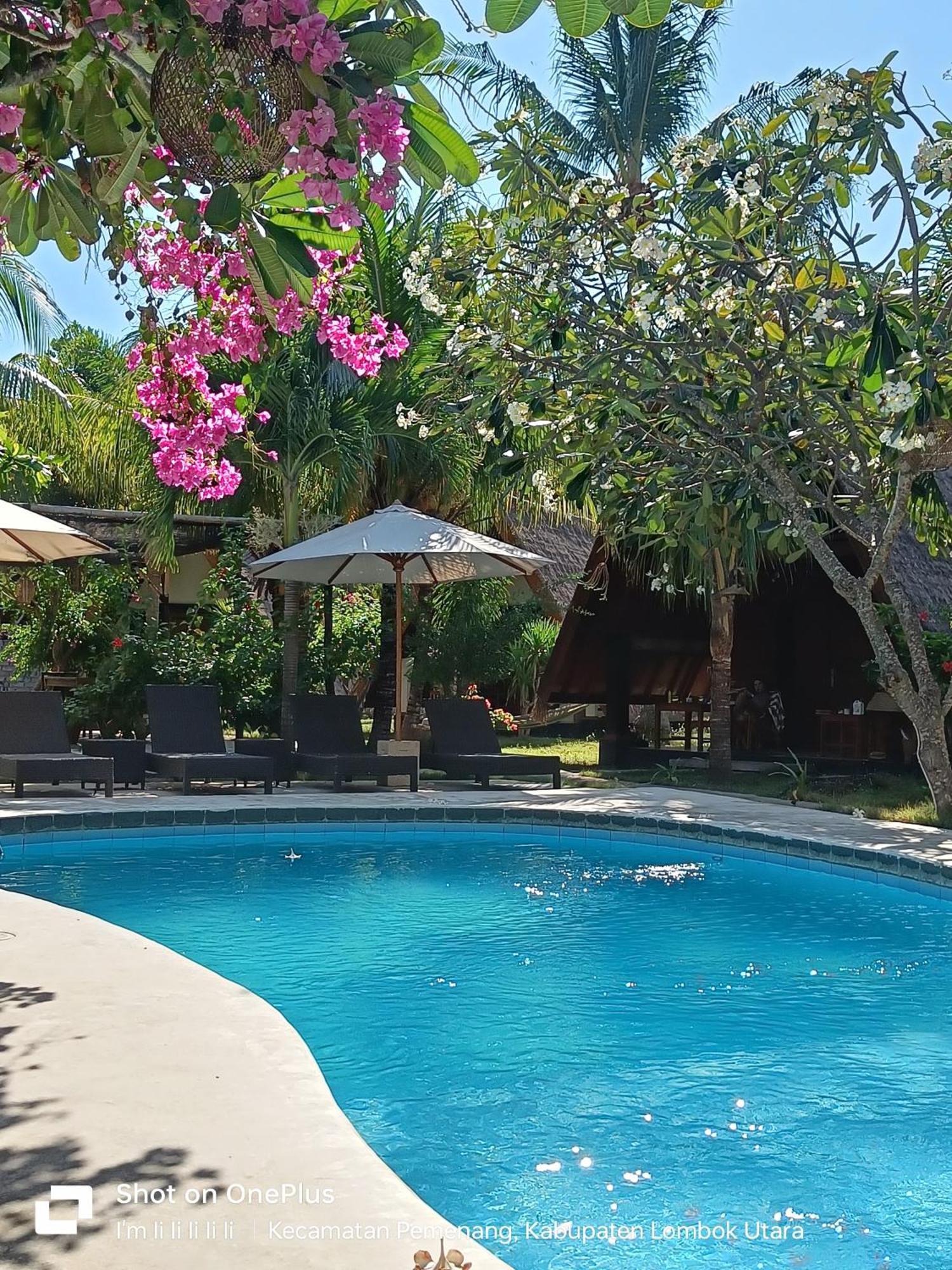Lucy'S Garden Hotel Gili Air Esterno foto